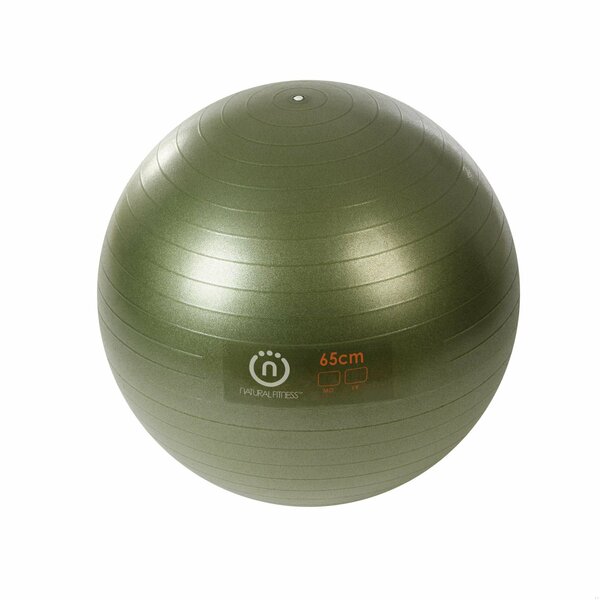 Lifeline Fitness Natural Fitness PRO Burst Resistant Exercise Ball FBREB65OL